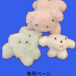 専用ページ