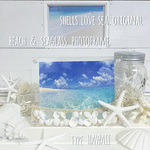 Beach & SeaGlass フォトフレーム♡【Hawaii】