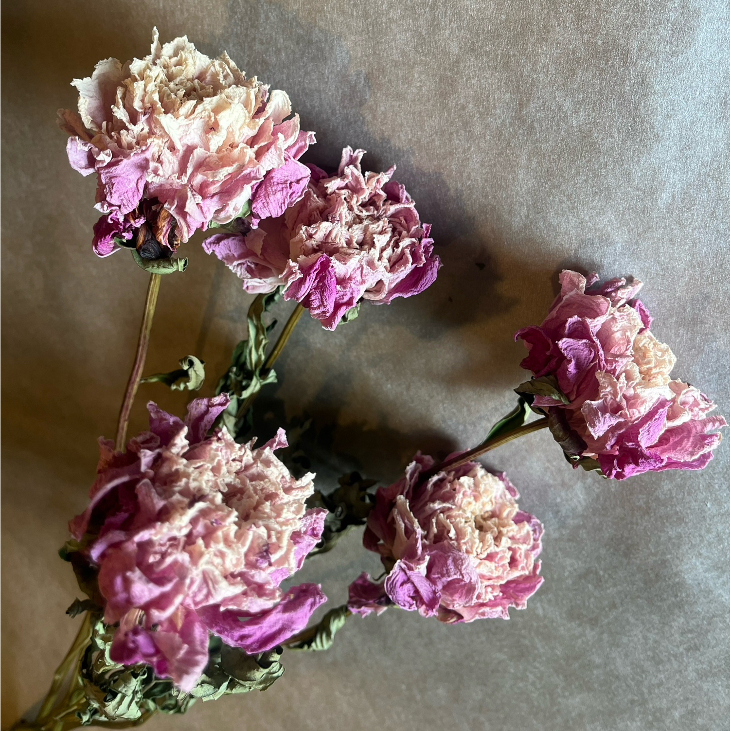 好きな色味でオーダー可能🌻ドライフラワー 壁掛け アレンジ💐※送料  