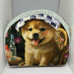 柴犬のポーチ〜お風呂上がりにかき氷🍧いかが？