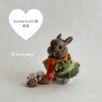 18、bunta-kumi様専用 オーダーうちのこシリーズ 羊毛フェルト ちびっこ着せ替えウサギ