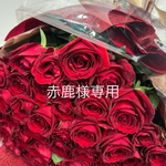 赤鹿様専用ページ