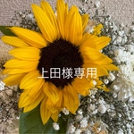 上田様専用ページ