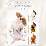 キャバリアアクリル時計【送料無料】【9/12までセール価格！6000円→5300円】