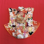 犬の着物✨犬用本格大振袖 お引き摺り 黒×オレンジ 正絹 金彩入り 犬服