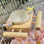 ☆インコのお食事場⑮☆