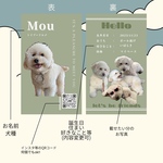 SALE♡シンプル選べるカラー♡うちの子名刺　両面印刷100枚　