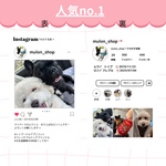 SALE♡インスタグラム風♡うちの子名刺　両面印刷100枚　