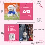 ♡オシャレカラー名刺♡100枚　うちの子名刺　両面印刷　シンプル好きな方に