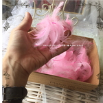 (⋈◍＞◡＜◍)。✧♡かわいいフェザー50枚セット☆ピンク