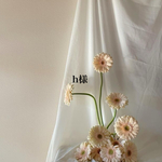 h様専用