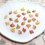 ミックス★紅葉　もみじの樹脂パーツ　デコパーツ   ネイルパーツ　