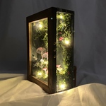 【再再販 ２】　癒しの苔テラリウム　森の苔ときのこ　コケリウム