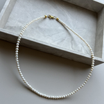 《 From N. 》パールネックレス  |  ベビーパール淡水パール 3mm 金属アレルギー対応サージカルステンレス