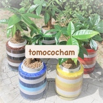 tomococham様専用