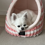 ☆h…様専用ページ☆