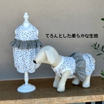水玉ワンピ（ＬＬ）
