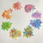 【日向様オーダー】新チェック柄！ほんのり透けるペーパーフレーク 星Lサイズ80枚　D/受