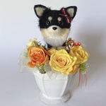 ロングコートチワワ（黒）のプリザーブドフラワーアレンジメント（イエロー）　犬　母の日