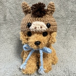 2026年午年🐴馬の帽子🐴小型犬用帽子・猫用帽子