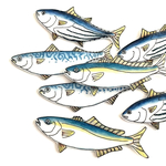 お魚ブローチ　 ブリ！サバ！カツオ！