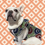 夏物犬服L♡サマータンクエスニック柄緑フレブル服フレンチブルドッグパグ服ハワイアン