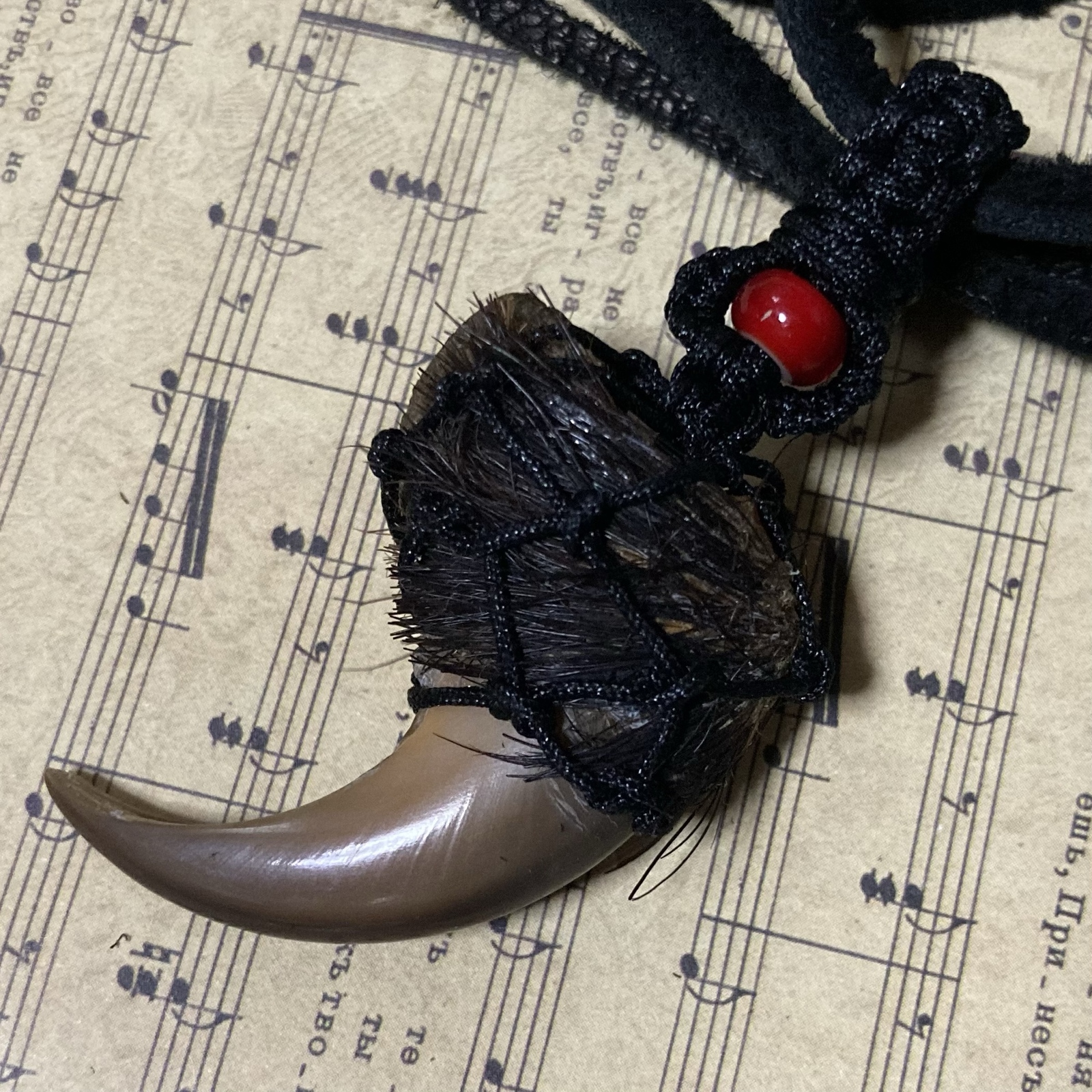 熊の爪(ベアクロー)マクラメネックレストップ① - mochishari | minne