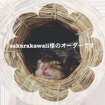 sakurakawaii 様オーダー　シマリスマスコット