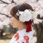 成人式　＆　結婚式　タッセルリボン胡蝶蘭髪飾り　レッド　成人式髪飾り　結婚式髪飾り　卒業式髪飾り　卒業式　水引き　　袴　和装　ウェディング　ヘッドドレス　紐アレンジ　七五三