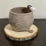陶器　文鳥さんの植木鉢