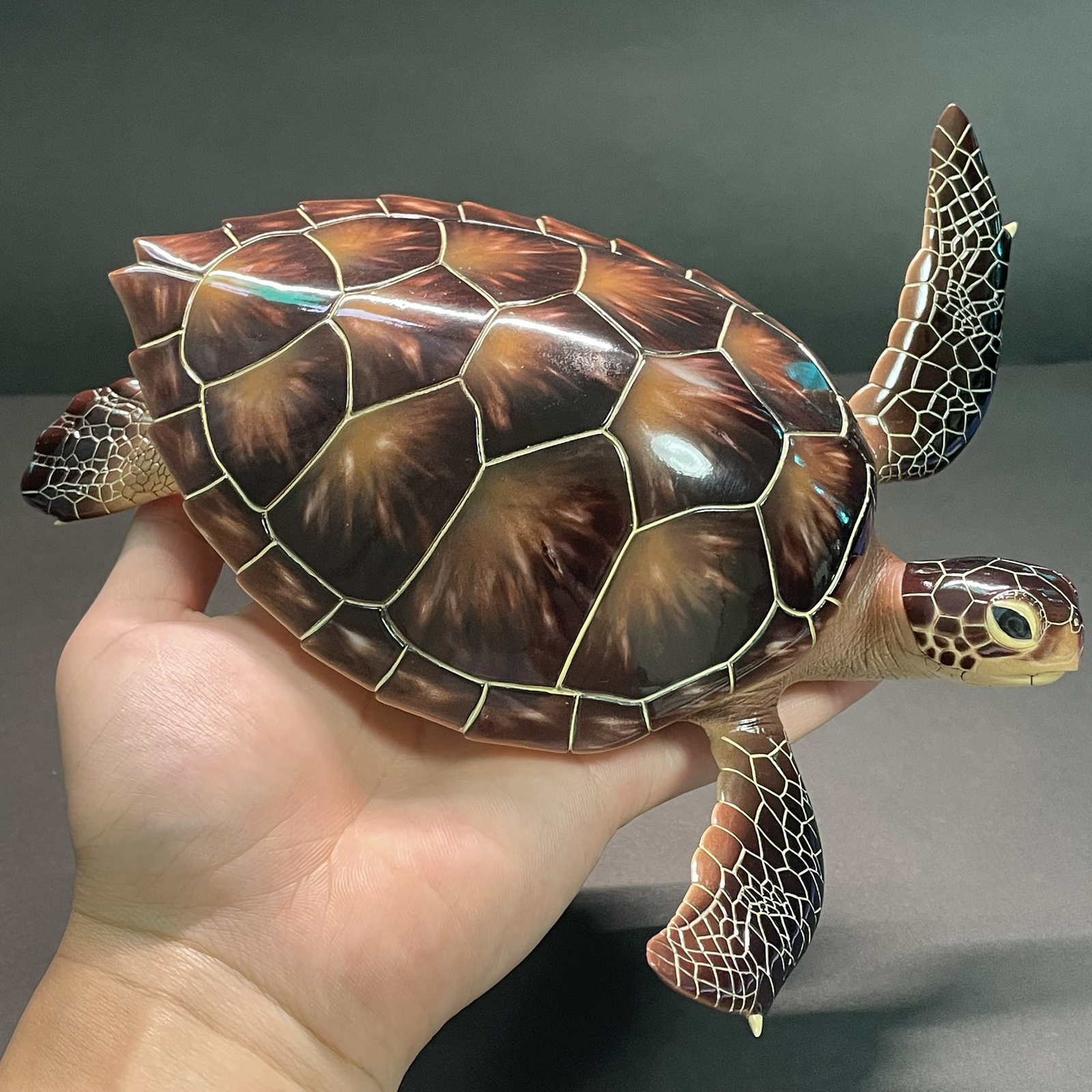 ウミガメの模型 海洋生物模型 レプリカ (受注生産品) 現在大幅