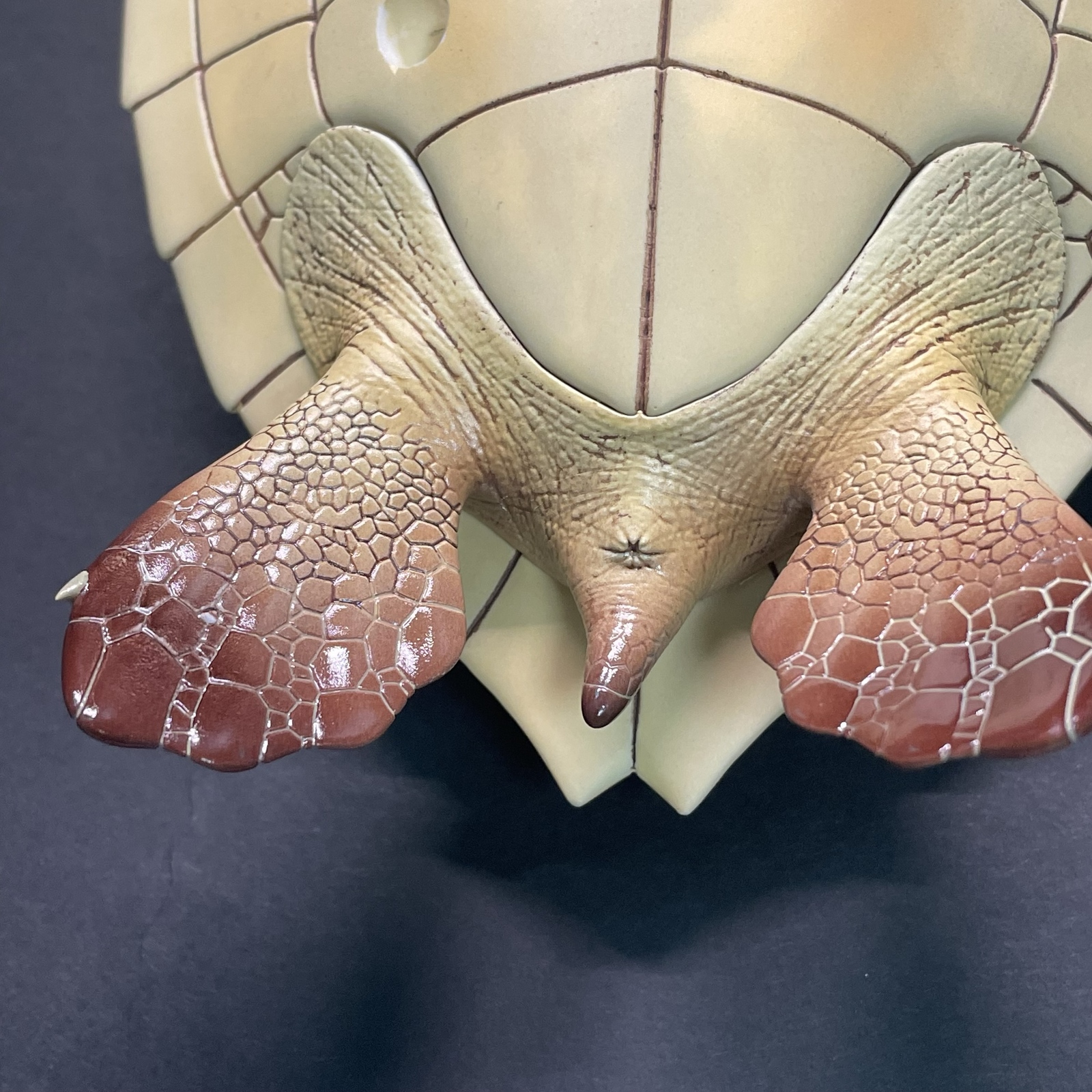 ウミガメの模型 海洋生物模型 レプリカ (受注生産品) 現在大幅値引き中