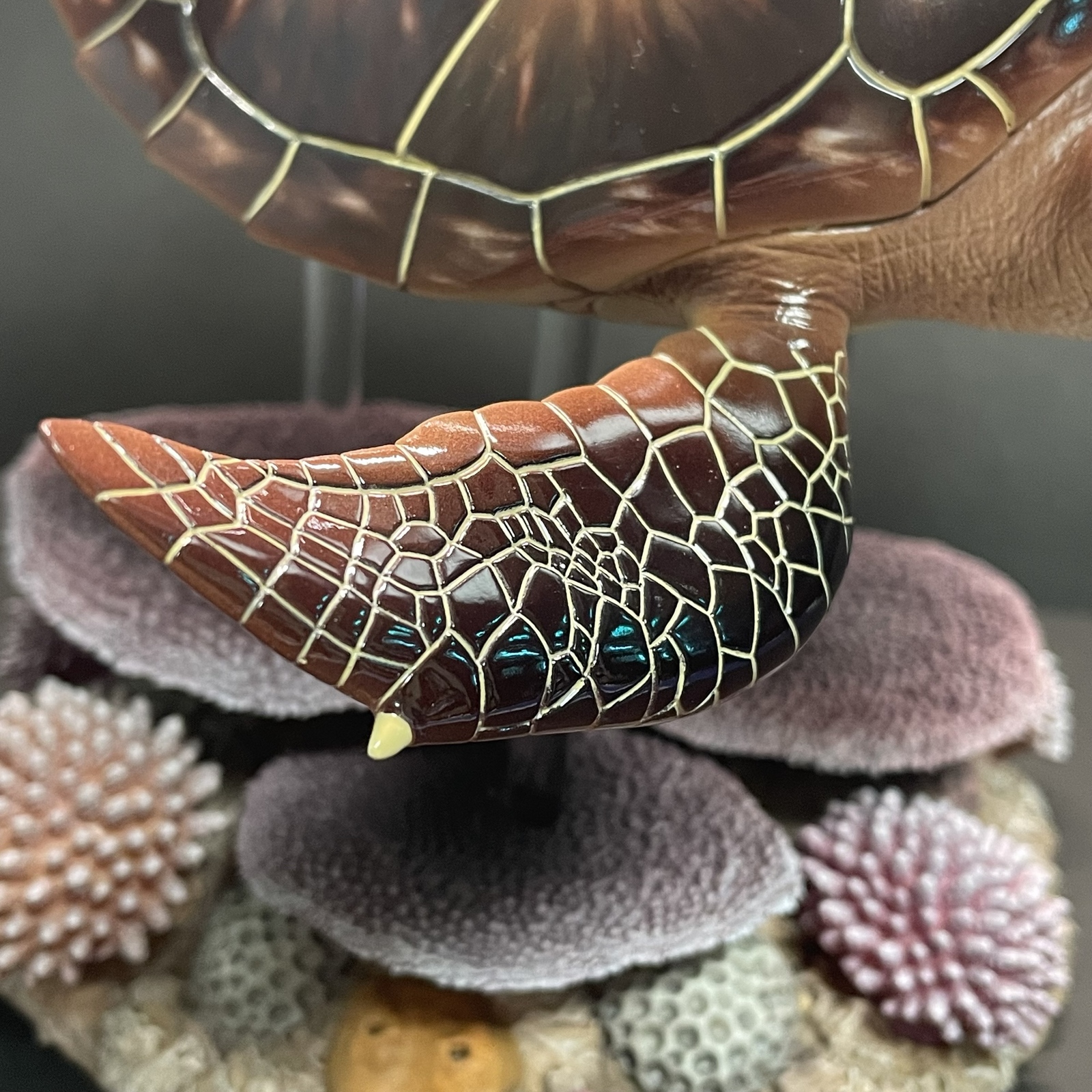 ウミガメの模型 海洋生物模型 レプリカ (受注生産品) 現在大幅値引き中