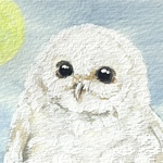 myd様リクエスト　フクロウ　【水彩画・原画】