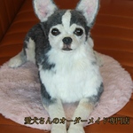 【うちの子オーダー】リアル　愛犬さんのオーダー　羊毛フェルトオーダー　犬　置物　ペット　オーダーメイド犬　ペットロス　チワワ　トイプードル　ダックス　ポメラニアン パピヨン　baophouc