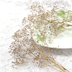 かすみ草　カスミ草　プリザーブド　パウダーパープル