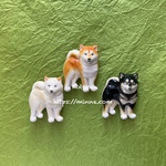 日本犬  黒柴 帯留め　柴犬 Shiba Inu