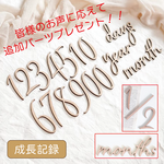 木製［送料込］ゼクシィBaby掲載◆ マンスリーカード monthly card レターバナー　マンスリーフォト 月齢フォト ニューボーンフォト 月齢カード ウッド ベビー グッズ wood  [A]