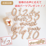 木製［送料込］ゼクシィBaby掲載◆ マンスリーカード monthly card レターバナー　マンスリーフォト 月齢フォト ニューボーンフォト 月齢カード ウッド ベビー グッズ wood  [D]