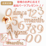 木製［送料込］ゼクシィBaby掲載◆ マンスリーカード monthly card レターバナー　マンスリーフォト 月齢フォト ニューボーンフォト 月齢カード ウッド ベビー グッズ wood [M]