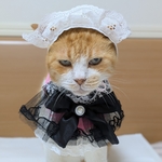 クールロリータ