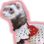 フェレちゃんのおでかけポシェット（いちご）