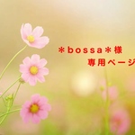 ＊bossa＊様専用ページ