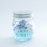 【本物のネモフィラ】お手頃価格ボトル 発送すぐ【Nemophila hydrangea】