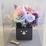 【虹の橋🐶わんちゃん】プリザーブドフラワー　ギフト対応　選べるラッピング　犬好きな方へのギフト　お供え　ペット供養　　誕生日　