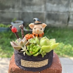 ★送料無料★♡そのまま飾れる♡リメ缶♬ハロウィンぶたちゃんの多肉植物寄せ植え╰(*´︶`*)╯♡