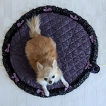 ハロウィンカラー②直径60ｃｍ　紫　コンパクト　カフェマット　サラサラ　円形マット　ドッグカフェ　犬マット　お出かけマット　汚れにくい