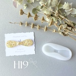 H19