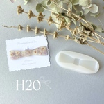 [H20