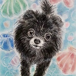 ❮似顔絵❯ペットの絵オーダー  パステル原画⑫